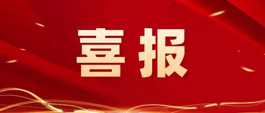 喜報丨壽光市魯麗木業(yè)股份有限公司入選“2024年山東省管理標桿企業(yè)”