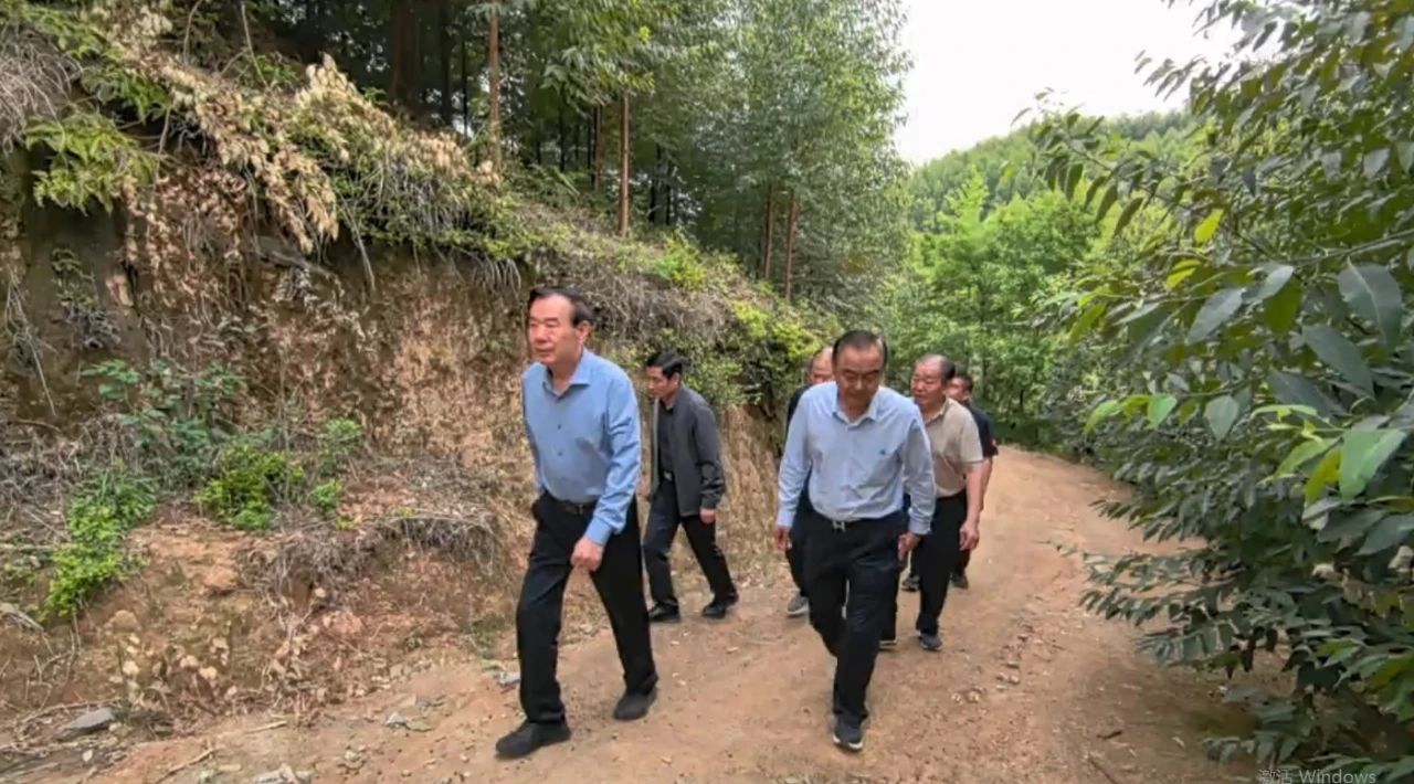 魯麗集團董事長薛茂林到湖南魯麗自培育林地視察
